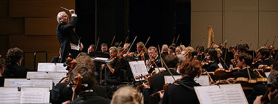 Overtures and Waltzes by Johann Strauss