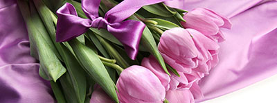 A movie quiz tea and a Women Day in the model library 2026