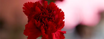 Information Hour Know to Remember 2026